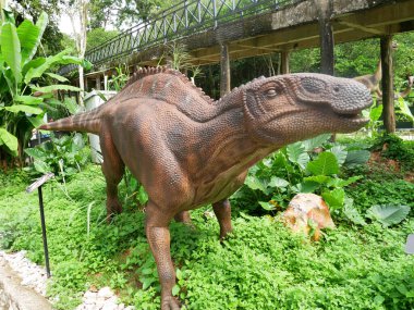 MELAKA, MALAYSIA - JUNE 6, 2022: Replicas of various types of dinosaurs built to life size. It is decorated with tropical plants to make it seem alive.