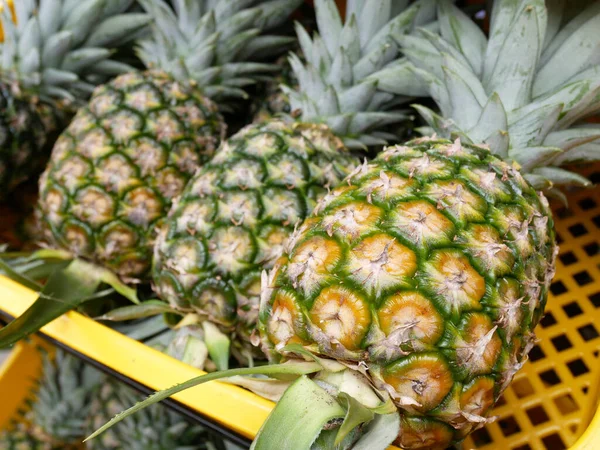 Pineapples that have been picked are displayed for sale. Pineapples are tropical fruits. Pineapple is suitable to be eaten as it is or used as a cooking ingredient.