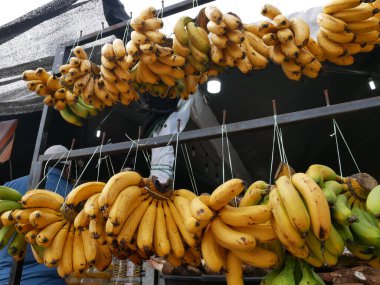 SELANGOR, MALAYSIA - AUGUST 5, 2022: Ripe bananas displayed for sale. Some can be eaten straight away and some need to wait a few days. Is a nutritious tropical fruit.