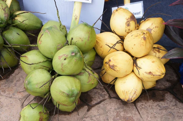 Young Coconuts Have Been Harvested Ready Sale Young Coconuts Sold — Zdjęcie stockowe