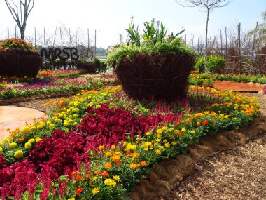 SELANGOR, MALAYSIA -JULY 2, 2022: Various species of tropical flowers are planted in a flower garden. The flowers are arranged and mixed according to the design and theme.