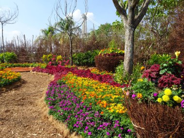 SELANGOR, MALAYSIA -JULY 2, 2022: Various species of tropical flowers are planted in a flower garden. The flowers are arranged and mixed according to the design and theme.