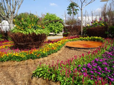 SELANGOR, MALAYSIA -JULY 2, 2022: Various species of tropical flowers are planted in a flower garden. The flowers are arranged and mixed according to the design and theme.