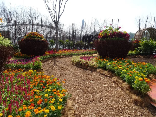 SELANGOR, MALAYSIA -JULY 2, 2022: Various species of tropical flowers are planted in a flower garden. The flowers are arranged and mixed according to the design and theme.