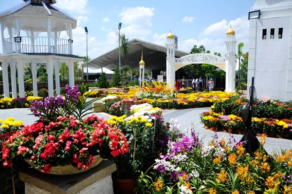 Selangor Malaysia July 2022 Various Species Tropical Flowers Planted Flower — Fotografia de Stock
