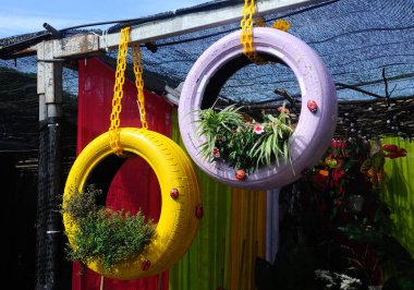 PUTRAJAYA, MALAYSIA -MAY 30, 2016: Flowers planted in used tires and hanging as decoration.