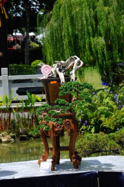 PUTRAJAYA, MALAYSIA - 30 Mayıs 2016: Putrajaya, Malezya 'daki Royal Floria Putrajaya 2016' da halk için Bonsai ağacı görüntüsü.