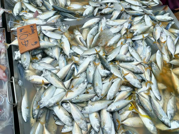 Fresh Fish Other Seafood Sale Wet Markets Placed Flea Customer — Stock Photo, Image