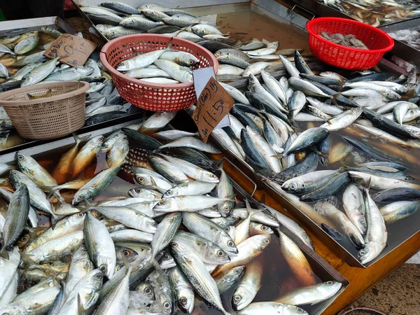 Čerstvé Ryby Jiné Mořské Plody Prodávají Mokrých Trzích Umístěn Blechy — Stock fotografie