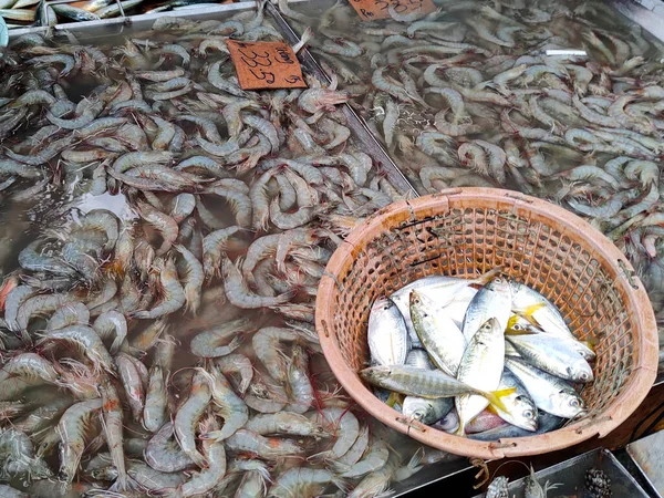 Ikan Segar Dan Makanan Laut Lainnya Dijual Pasar Basah Hal — Stok Foto