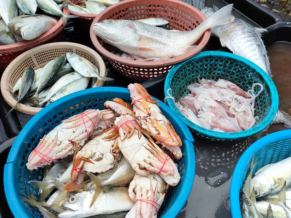 Peixe Fresco Outros Frutos Mar Estão Venda Mercados Húmidos Ele — Fotografia de Stock