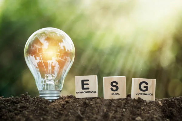 Lightbulb ESG on a woodblock It is an idea for sustainable development. account the environment, society and corporate governance. ESG concept of environmental, social and governance.