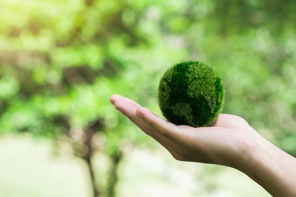 Hand Embracing Green globe World Earth Day Concept. Green Energy, ESG, Environmental, social and corporate governance. Renewable and Sustainable Resources. Environmental and Ecology Care.