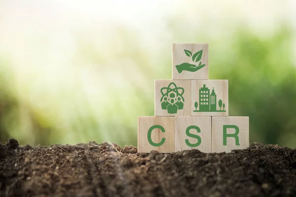 CSR Kurumsal Sorumluluk, CSR ve Sürdürülebilirlik Sorumluluğu Ofisi. Doğal kaynak, üretim, ürün, kullanım, yeniden kullanım ve geri dönüşüm ikonuna sahip tahta küp. 