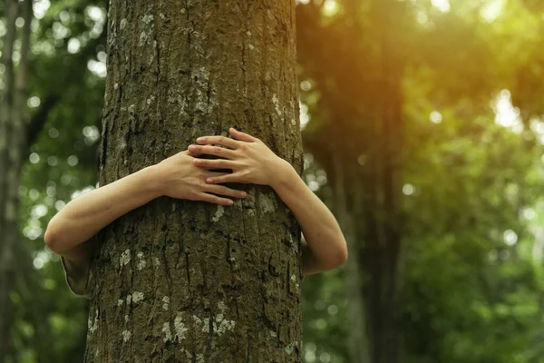 子供の女の子の後ろに立って 森の中の木に抱擁を与える 二酸化炭素と地球温暖化の地球規模の問題の概念 自然の愛 木の幹の周りの手 — ストック写真
