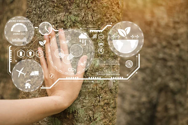 Mão Humana Tocando Árvore Floresta Tropical Conceito Natureza Amor Desenvolvimento — Fotografia de Stock