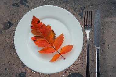 Üzerinde portakal yaprağı olan plaka. Sonbahar servis edilir. Sezonun başlangıcı veya mevsimlik menü kavramı.