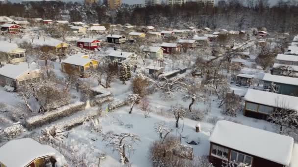 Vue aérienne des chalets finlandais dans les jardins d'alotment en hiver. — Video