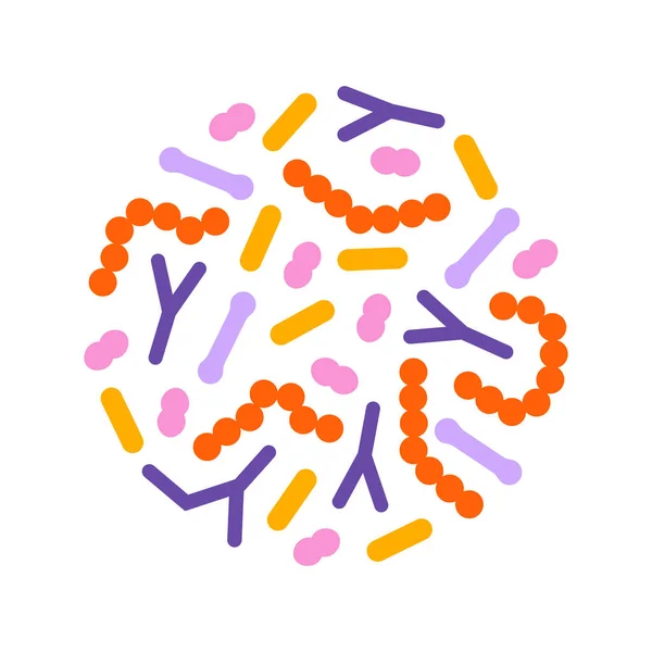 Bactéries probiotiques en cercle. Microbiote intestinal avec bacille prébiotique sain. — Image vectorielle