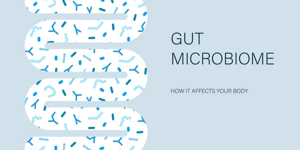 Gut microbiome banner. Human tarm mikrobiota med friska probiotiska bakterier. — Stock vektor