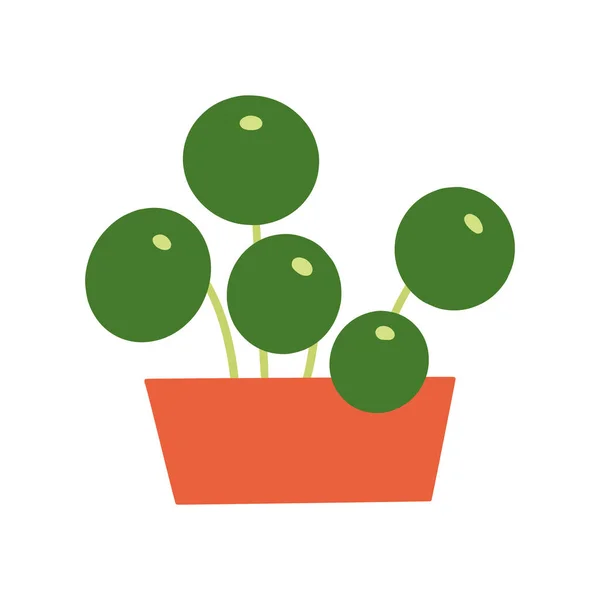 Pilea peperomioides szobanövény virágcserépben. Lapos kézzel húzott lombozat növény modern irodai vagy otthoni dekoráció illusztráció. — Stock Vector