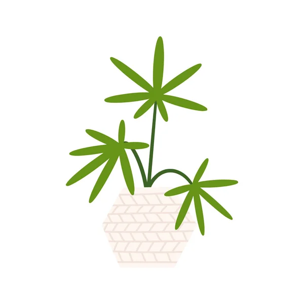 Palmkrukväxt i blomkruka. Platt handritad lövverk för moderna kontor eller inredning illustration. — Stock vektor