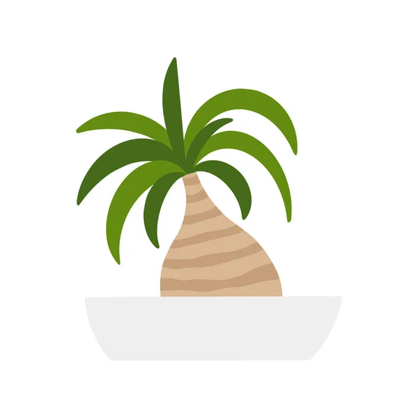 Palm bonsai дерево houseplant в цветочный горшок. Плоский ручной листвы завод для современной офисной или домашней иллюстрации декора. — стоковый вектор