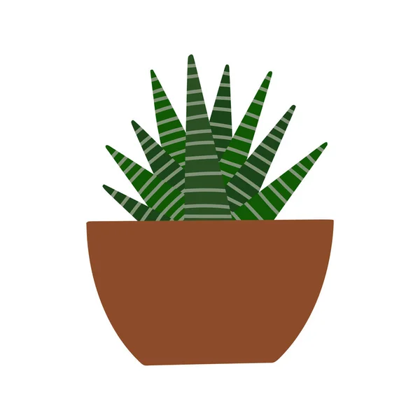 Aloe szobanövény virágcserépben. Lapos kézzel húzott zamatos növény modern irodai vagy otthoni dekoráció illusztráció. — Stock Vector