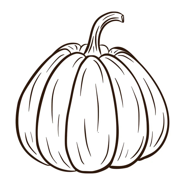 Line Art Juicy Pumpkin Illustration (en inglés). Icono de la comida de otoño. Esbozo de calabaza madura. Elemento para el diseño decorativo de otoño, invitación de Halloween, cosecha, pegatina, impresión, logotipo, menú, receta — Vector de stock