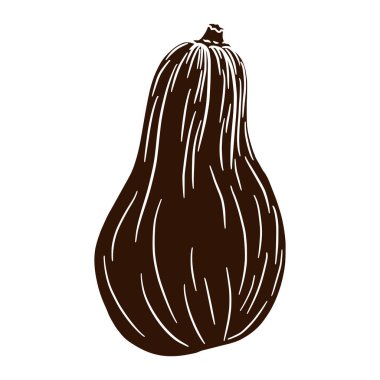 Tereyağlı Kabak Silueti. Sonbahar Balkabağı İllüstrasyonu. Taze kabak gölgesi. Sonbahar dekoratif tasarım elementi, Cadılar Bayramı daveti, hasat, çıkartma, baskı, logo, menü, tarif.