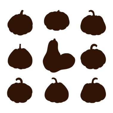 Balkabağı Gölgeleri Set. Çıkartmalar, baskılar, davetiyeler, menüler ve tebrik kartları tasarımı ve dekorasyonu için taze olgun balkabağı koleksiyonu