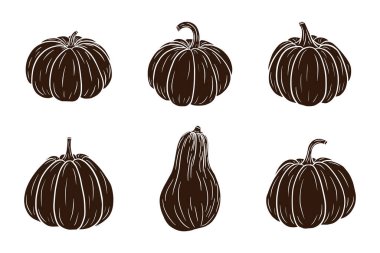 Balkabağı siluetleri ayarlandı. Çıkartmalar, baskılar, davetiyeler, menüler ve tebrik kartları tasarımı ve dekorasyonu için taze olgun balkabağı koleksiyonu. Premium Vektörü