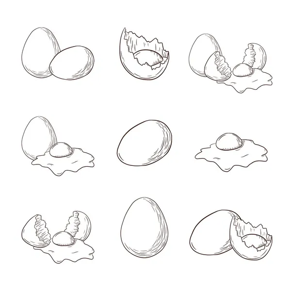 Chiken Eggs Engraving Illustrations Set Collection Croquis Oeufs Frais Ferme — Image vectorielle