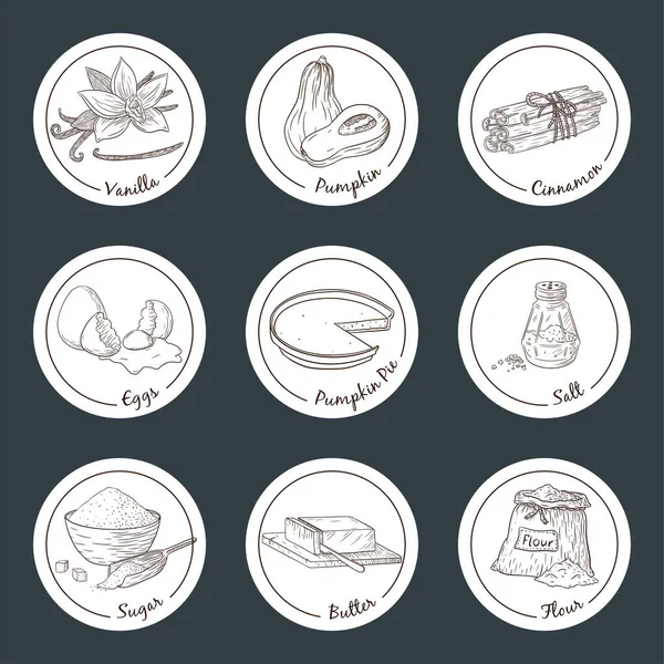Ensemble Autocollants Illustration Gravés Citrouille Collection Croquis Alimentaires Dessinés Main — Image vectorielle