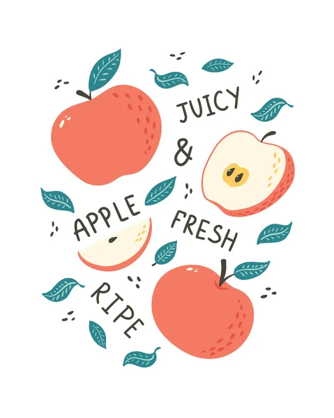 Hand Drawn Apples Poster Doodle Style Natural Fruits Lettering Illustration — Vettoriale Stock