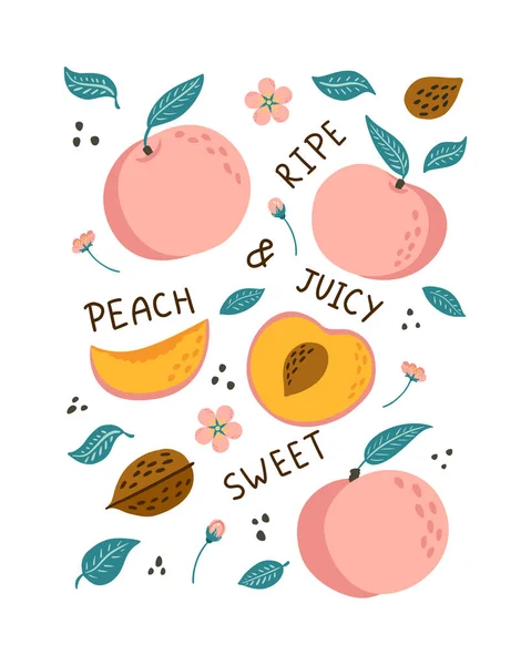 Hand Drawn Peaches Poster Doodle Style Fruits Leaves Blossoms Lettering — Vetor de Stock