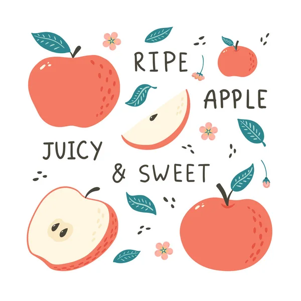 Maçãs Desenhadas Mão Estilo Doodle Ilustração Frutas Naturais Para Logotipo — Vetor de Stock