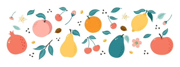 Frutta Tirata Mano Raccolta Illustrazioni Frutta Stile Doodle Poster Banner — Vettoriale Stock