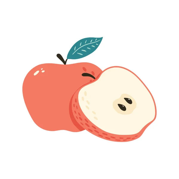 Свежее сладкое красное яблоко с изолированной векторной иллюстрацией. Полтора фрукта с семенами. Карикатурный стиль — стоковый вектор