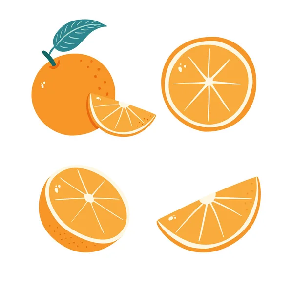Frutta Arancione Illustrazioni Agrumi Fette Set Mandarino Segmentato — Vettoriale Stock