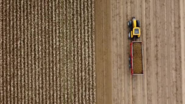 Traktor egy mezőgazdasági területen Lengyelországban. Drónlövés. Légi felvétel, felülnézetből. Mozgókép. — Stock videók
