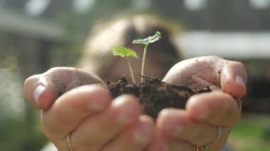 Genç kızların elinde topraktan büyüyen küçük yeşil bitki. Büyüme kavramı.