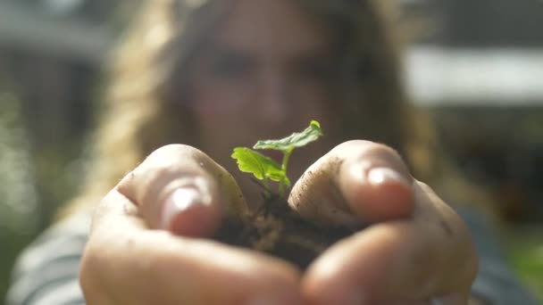 Malá zelená rostlina vyrůstající z půdy v rukou mladých dívek. Koncept růstu. — Stock video