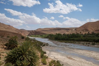 Fas 'taki Draa Nehri vadisinde palmiye ağacı ve su var..