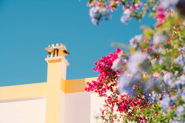 Bougainvillea flowers against a Portuguese house. High quality photo