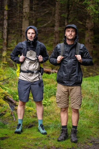 Two Hikers in raincoats in the forest in Scotland. Backpacks on back. High quality photo