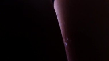 Konserde ter damlayan kollar. Cesetlere yakın çekim. Yüksek kaliteli FullHD görüntüler