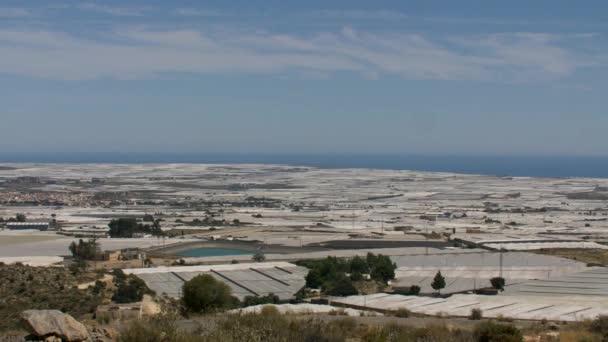 Plastové Skleníky Úrodou Almerii Andalusii Španělsku Vysoce Kvalitní Fullhd Záběry — Stock video