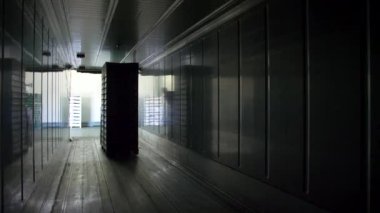 Kamyon bir forkliftle yükleniyor. Yüksek kaliteli FullHD görüntüler