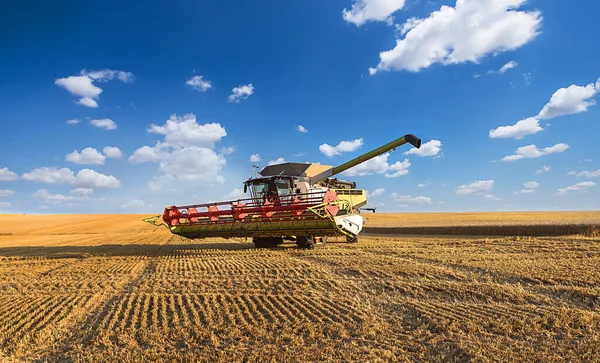 Combine Colheitadeira Ação Campo Trigo — Fotografia de Stock